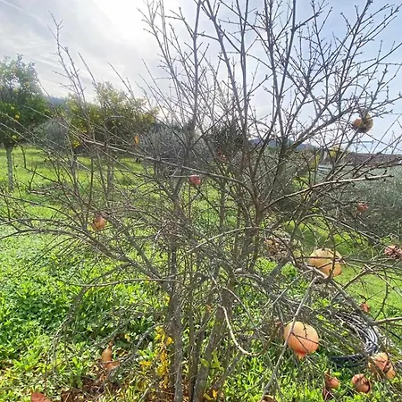 Casas Do Minerio Σπίτι διακοπών