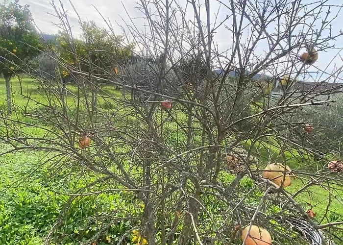 Casas Do Minério Casa vacanze